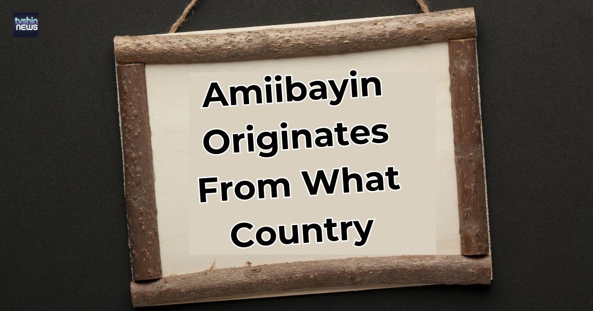 Exploring the Origins of Amiibayin What Country Birthed This Cultural Wonder